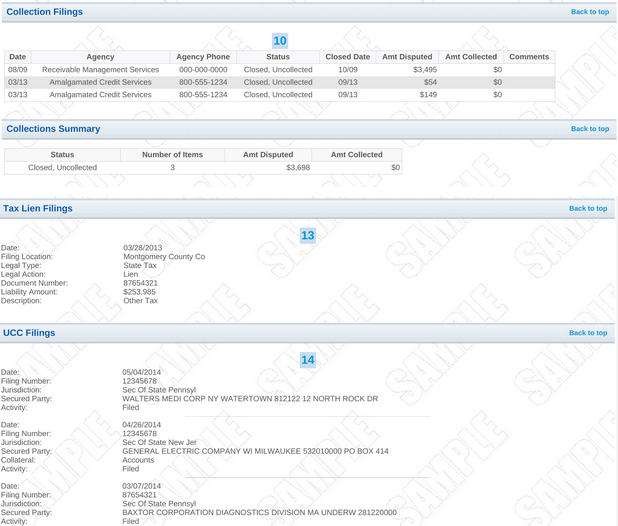 business credit report