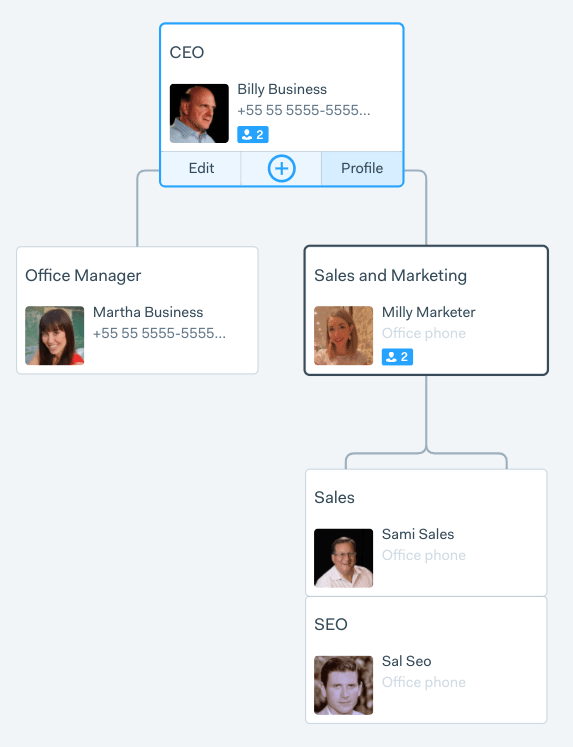 business organizational chart